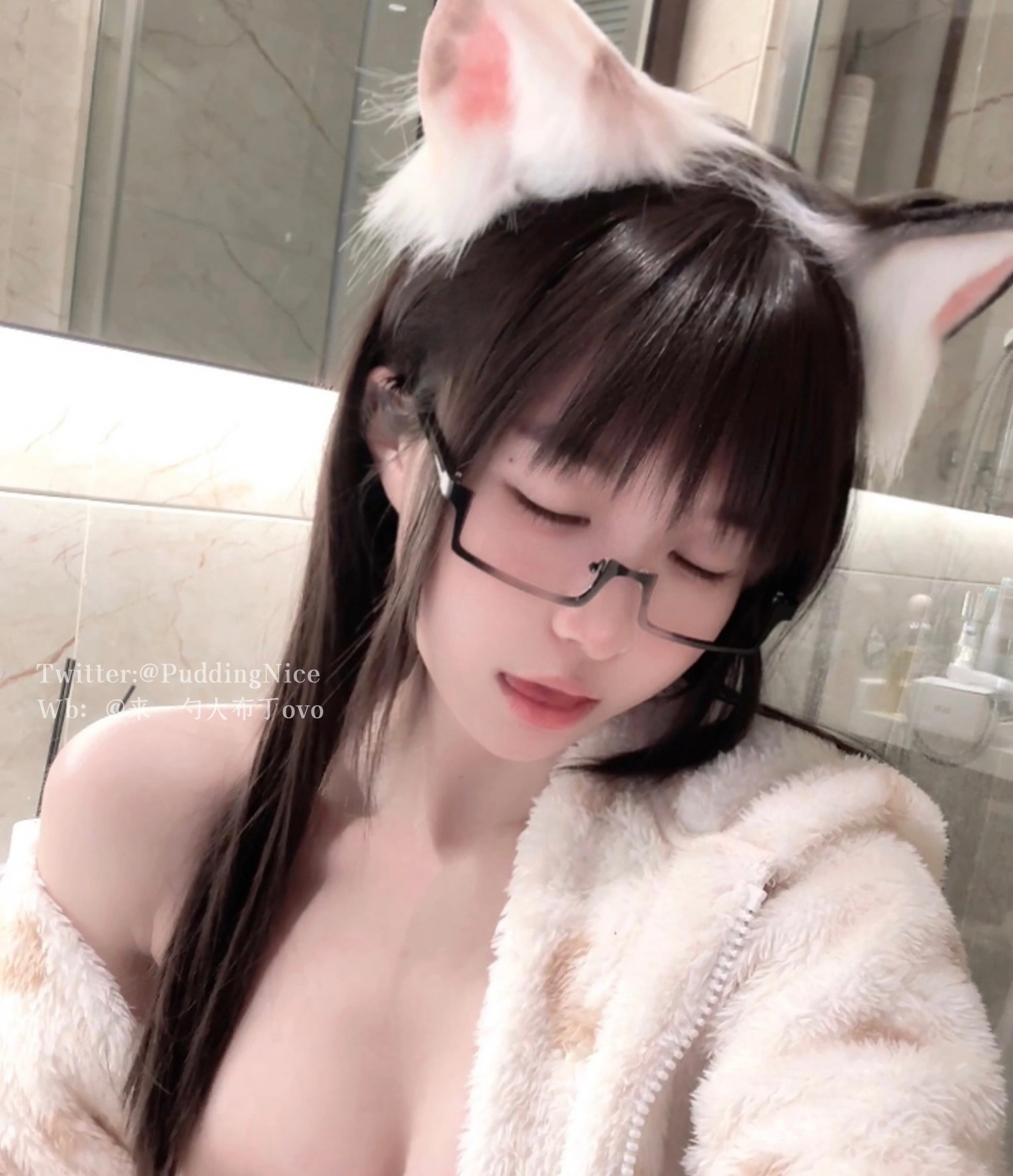 布丁大法 – NO.049 VII 芝士猫 1